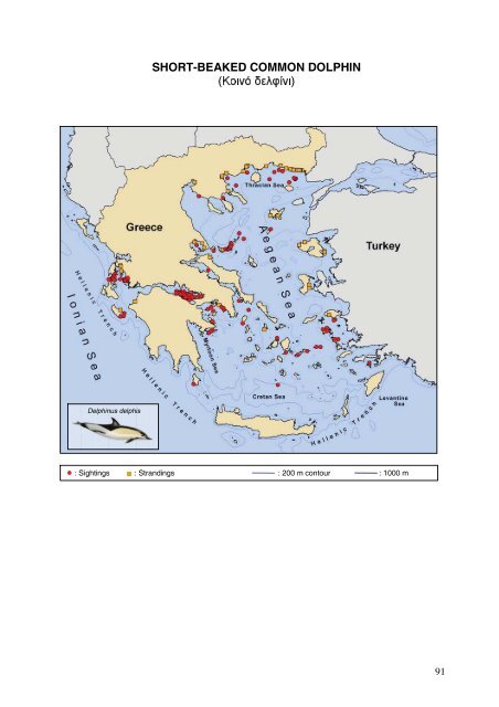 Cetaceans in Greece: Present status of knowledge