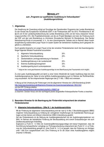 Merkblatt zur Förderung (Richtlinie vom 29.08.2011) - LASA ...