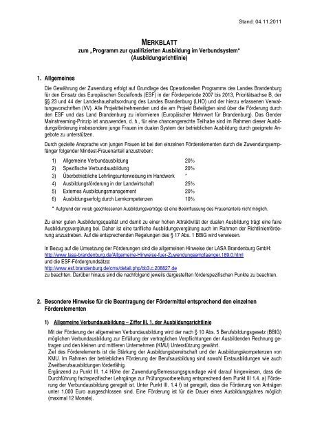 Merkblatt zur Förderung (Richtlinie vom 29.08.2011) - LASA ...