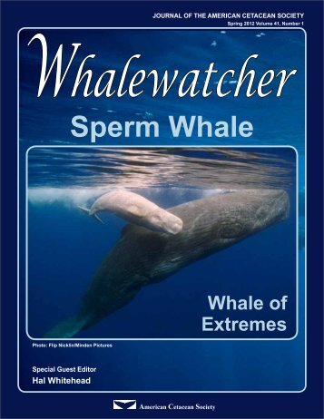 Sperm Whale