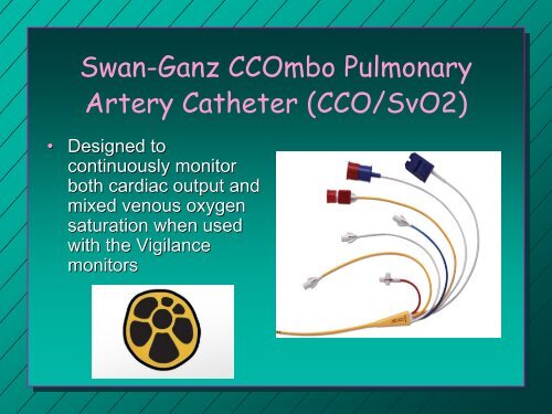 Pulmonary Artery Catheter