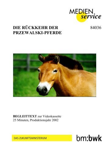 DIE RÜCKKEHR DER PRZEWALSKI-PFERDE 84036