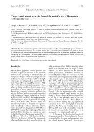 The pyrenoid ultrastructure in Oocystis lacustris CHODAT ... - Fottea