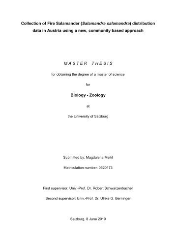 Master thesis eu