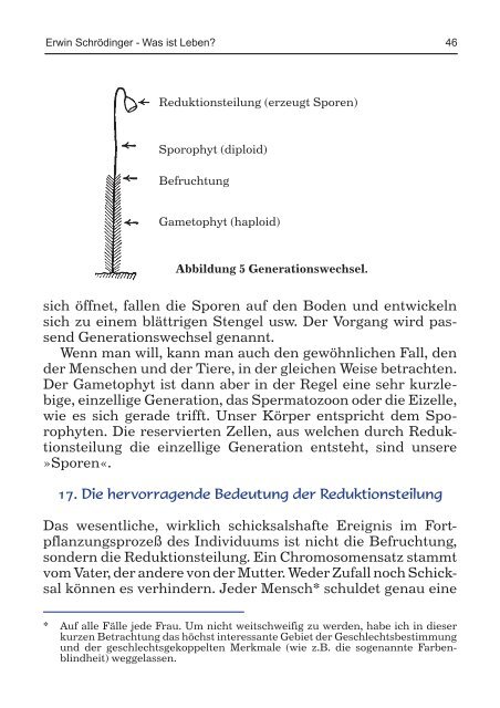 Was ist Leben - Online Media Server