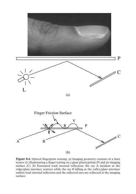 Advances in Fingerprint Technology.pdf