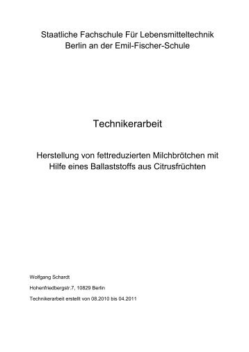 Technikerarbeit - bei der staatlichen Fachschule für ...