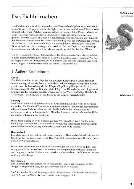 Das Eichhörnchen - Jungjaeger-bern.ch