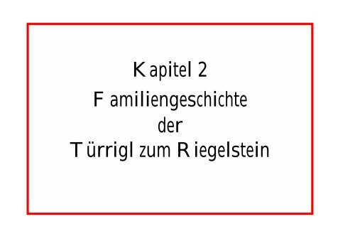 Die Familiengeschichte der Türrigl zum Rieglstein - Werner Wittig