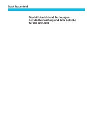 Geschäftsbericht und Rechnungen 2008 der Stadt Frauenfeld [PDF