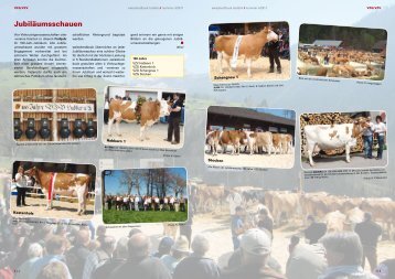 swissherdbook bulletin 4-2011-3-d