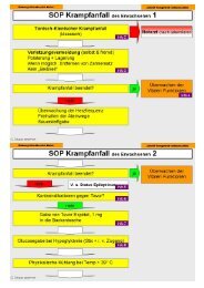 SOP Krampfanfall Erwachsener Karten und Checkliste