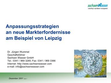 Anpassungsstrategien an neue Markterfordernisse am Beispiel von ...