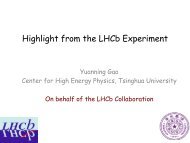 Highlight from the LHCb Experiment