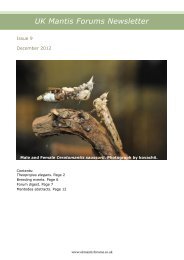 September 2012 to December 2012 - UK Mantis Forums