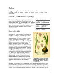 Leek Scientific Classification and Etymology - Academics - Hamilton ...