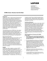 SYBR® Green I Nucleic Acid Gel Stain - Protocol