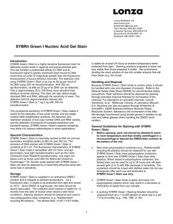 SYBR® Green I Nucleic Acid Gel Stain - Protocol