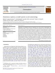 Enchytraeus crypticus as model species in soil ecotoxicology