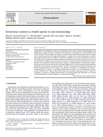 Enchytraeus crypticus as model species in soil ecotoxicology