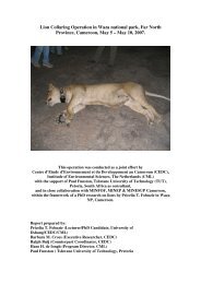 Lion Collaring Operation in Waza national park ... - Leo Foundation