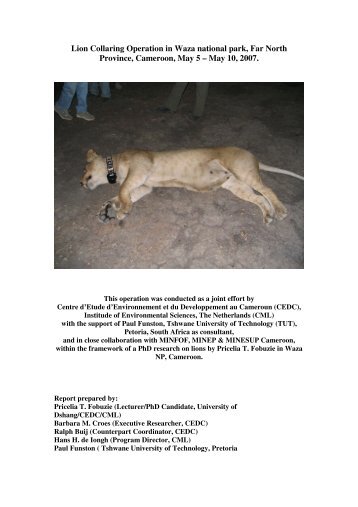 Lion Collaring Operation in Waza national park ... - Leo Foundation