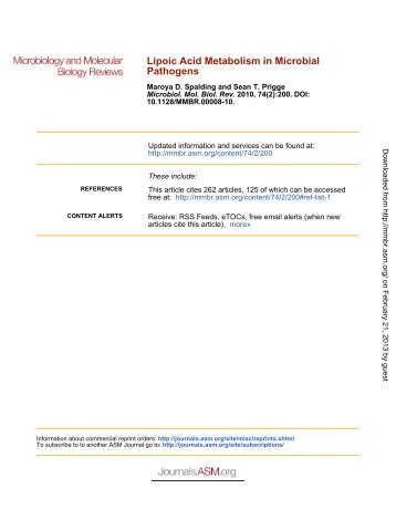 Lipoic Acid Metabolism in Microbial Pathogens - Microbiology and ...