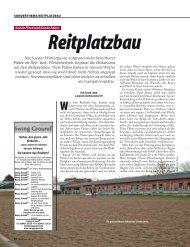 Reitplatzbau - Pferd+Sport