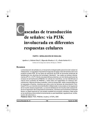 Cascadas de transducción de señales: vía PI3K involucrada en ...