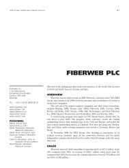 FIBERWEB PLC - RISI