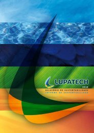 de Sustentabilidad 2010 - Lupatech SA