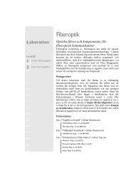 Fiberoptik - Atomic Physics!