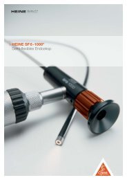 :9 HEINE SF6-1000 Semi-flexibles Endoskop - Heine Optotechnik