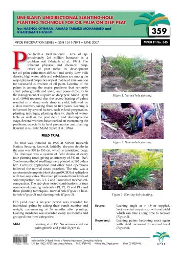 uni-slant: unidirectional slanting-hole planting ... - PalmOilis - MPOB