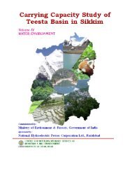 Carrying Capacity Study of Teesta Basin in Sikkim - Affected ...