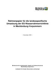 Rahmenpapier für die landesspezifische Umsetzung ... - WRRL MV