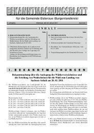 Bekanntmachungsblatt 1/2011 - Gemeinde Elsteraue