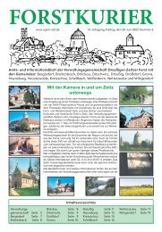 2007-06-Amtsblatt - Verbandsgemeinde Droyßiger-Zeitzer Forst