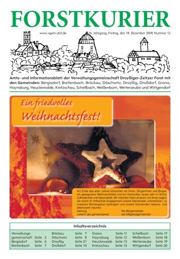 2009-12-Amtsblatt (1.92 MB) - Verbandsgemeinde Droyßiger ...