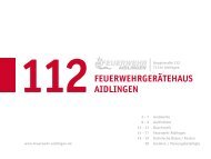 02.05.2011 Festschrift - Feuerwehr Aidlingen