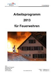 05-11 Arbeitsprogramm 2013 für Feuerwehren - SGV ...