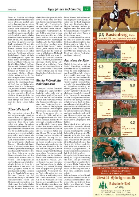 können Sie sich den Artikel als PDf - Rheinlands Reiter+Pferde