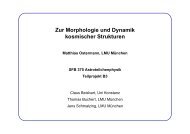 Zur Morphologie und Dynamik kosmischer Strukturen