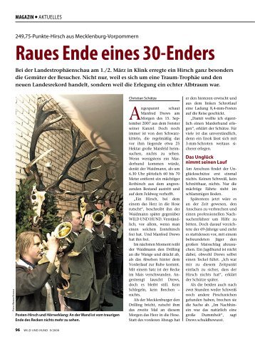 Raues Ende eines 30-Enders - Wild und Hund