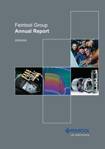 Annual Report (PDF) - Feintool