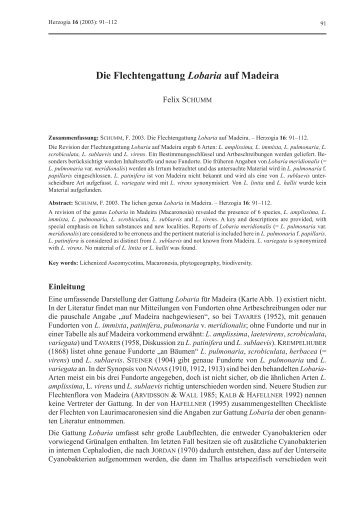 SCHUMM, F. 2003. Die Flechtengattung Lobaria auf Madeira