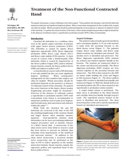 Treatment of the Non-Functional Contracted Hand - University of ...