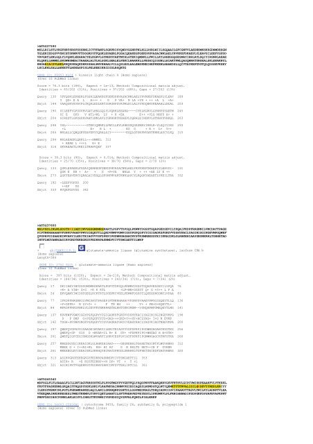 Text S1: Protein sequences and alignments of all proteins found in ...