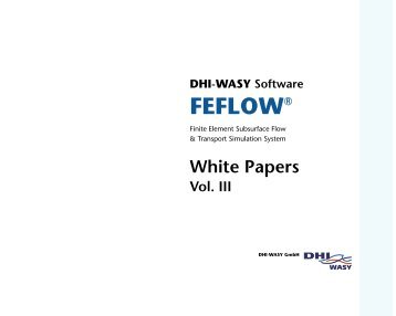 White Papers Vol. III - FEFlow