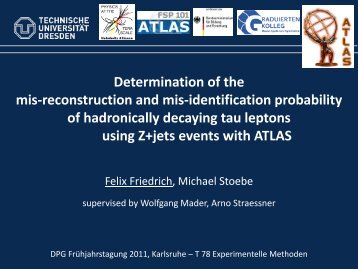 Determination of the mis-reconstruction and mis-identification ...